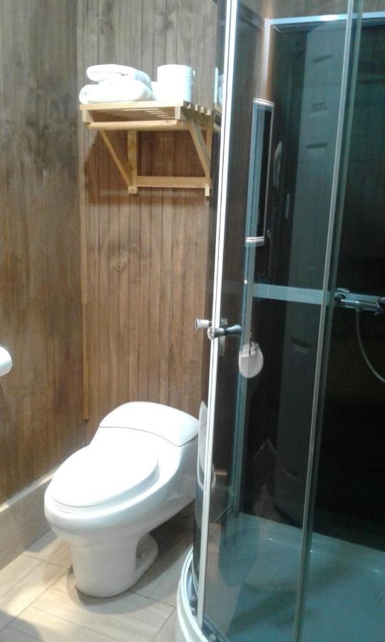 Hostal Chalet Las Violetas 蓬塔阿雷纳斯 外观 照片
