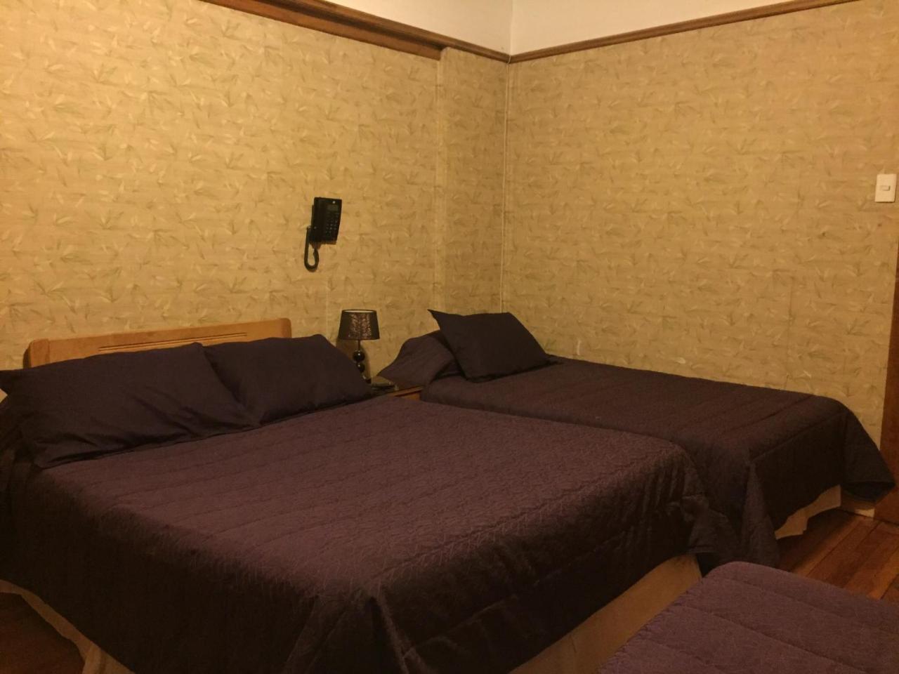 Hostal Chalet Las Violetas 蓬塔阿雷纳斯 外观 照片