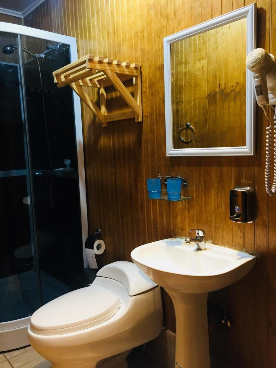 Hostal Chalet Las Violetas 蓬塔阿雷纳斯 外观 照片