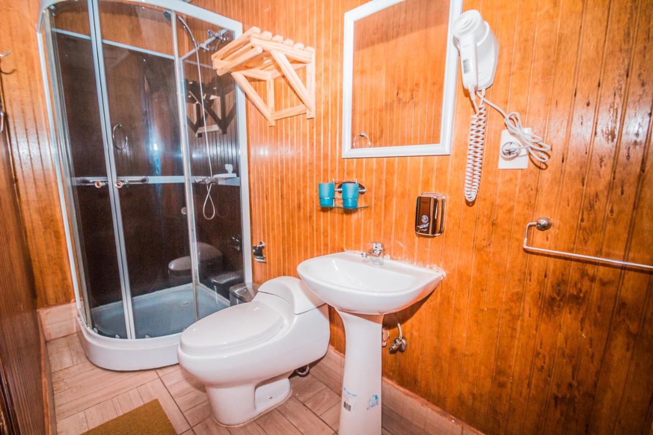Hostal Chalet Las Violetas 蓬塔阿雷纳斯 外观 照片