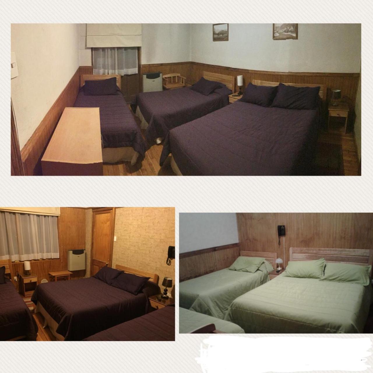 Hostal Chalet Las Violetas 蓬塔阿雷纳斯 外观 照片